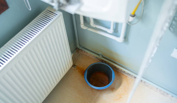 Best Water damage restoration near me  in Friona, TX